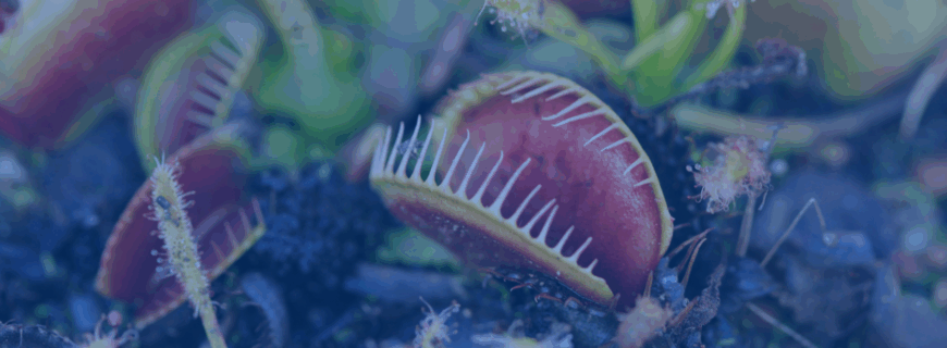 Are You in the £2,000 Pension Trap? What the 2029 Salary Sacrifice Cap Means for Higher Earners